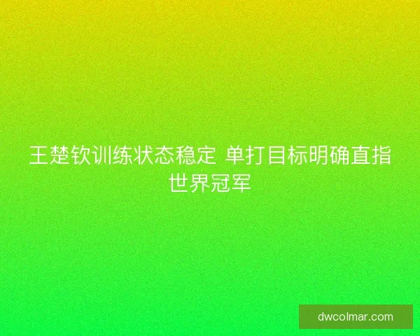 王楚钦训练状态稳定 单打目标明确直指世界冠军